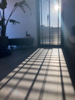 jaloezien zwart met schaduw